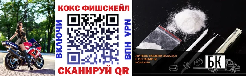 Купить закладки  Венёв  COCAIN 99% 