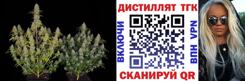 ТГК вейп с тгк  Купить закладки  Венёв 