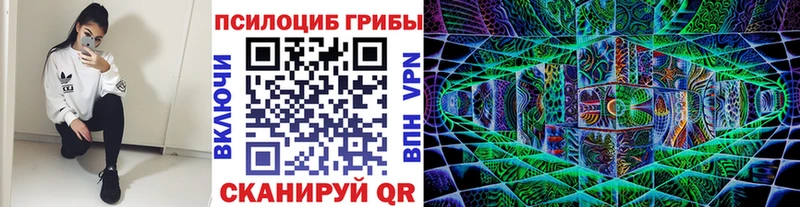Галлюциногенные грибы GOLDEN TEACHER  Купить  Венёв 